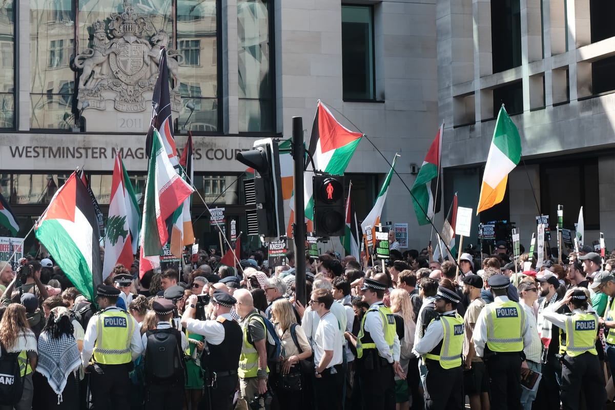 A huge crowd flying Palestinian and Irish flags outside Westminster Magistrates Court.